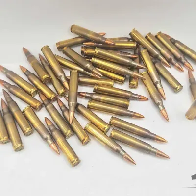1193 40 rounds of 5 56 ammunition