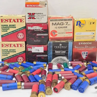 1393 250 shotgun shells