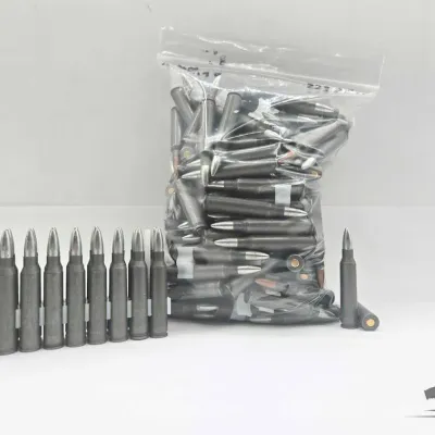 1195 bag of mixed 223 rem ammunition