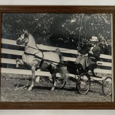 Sale Photo Thumbnail #166