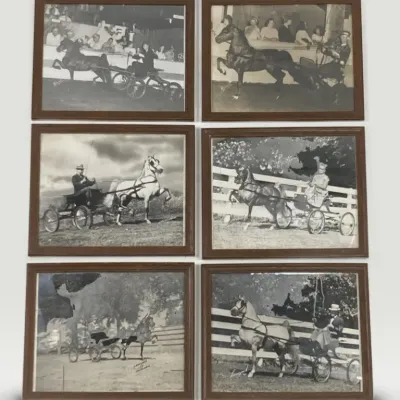Sale Photo Thumbnail #165