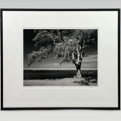 Sale Photo Thumbnail #271