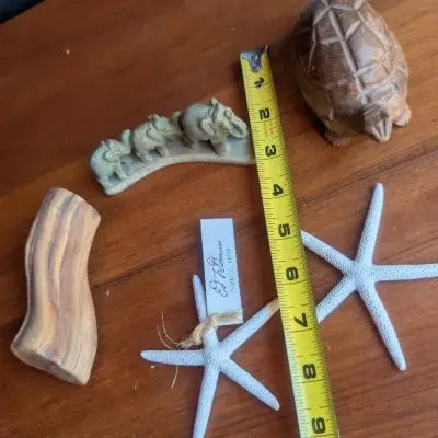 Collection of Natural and Carved items