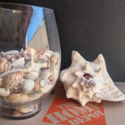 Glass vase filled with a collection of assorted small seashells alongside a larger conch shell