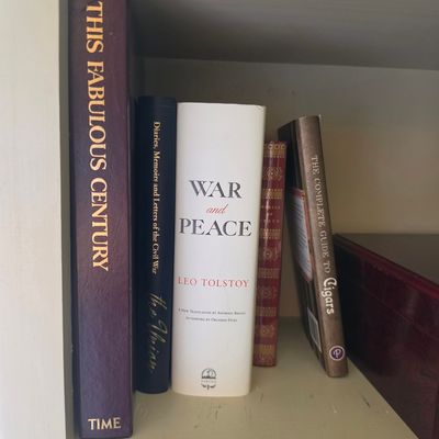 War and Peace by Leo Tolstoy (Viking Penguin Classics, Anthony Briggs Translation)