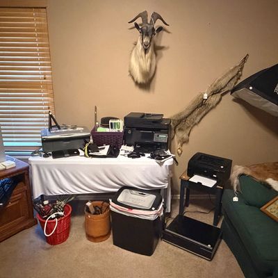Sale Photo Thumbnail #72