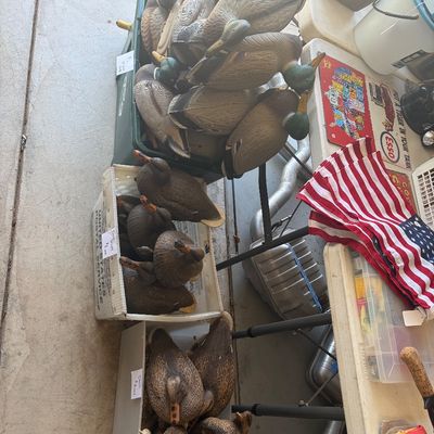 Sale Photo Thumbnail #89