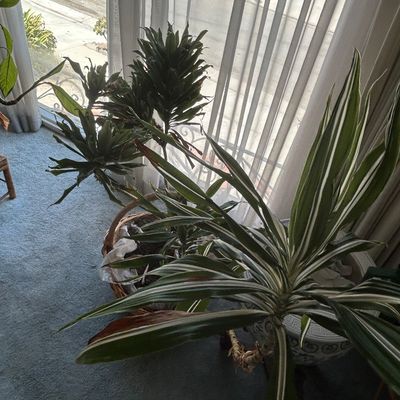 Sale Photo Thumbnail #148