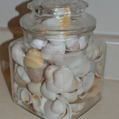 Sale Photo Thumbnail #308