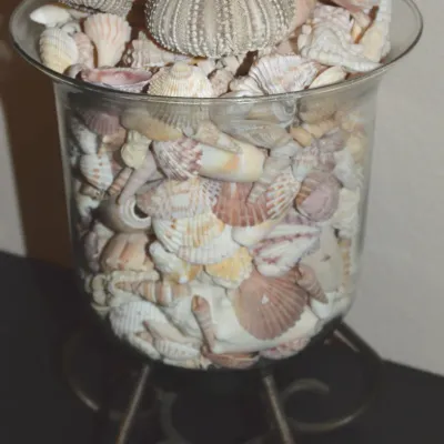 Sale Photo Thumbnail #310