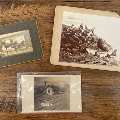 Sale Photo Thumbnail #312