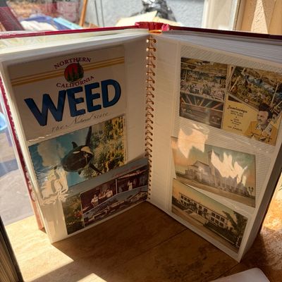 Sale Photo Thumbnail #29