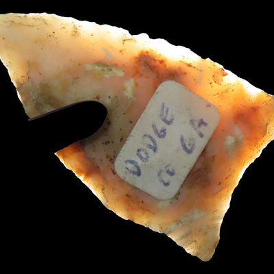 Sale Photo Thumbnail #237: Highly Translucent Paleo Suwanee / Simpson found in Dodge County Georgia. Finely Flaked example!
