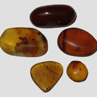 Sale Photo Thumbnail #583: Lot of Fossil Amber, some with small bugs or partial bugs that were partially eaten by another insect. 100 Million Years Old, from the Hukawng Valley, Burma-Myanmar. Burnite. Burmese Amber.