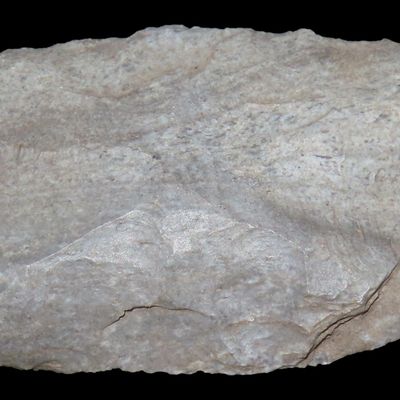 Sale Photo Thumbnail #322: Rare Indiana Green Paleo Square Knife, Vigo County Indiana. Notched on both ends with dual cutting edges. Colorful piece of Attica Chert.