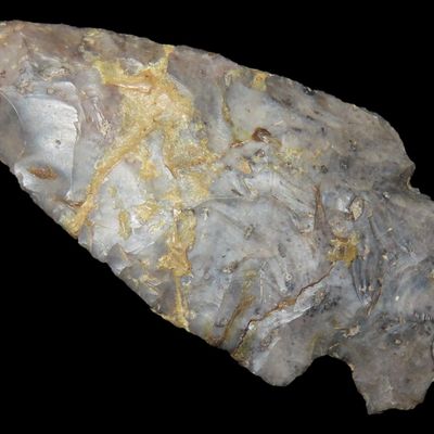 Sale Photo Thumbnail #258: 2 3/8" Ohio Jacks Reef / Intrusive Mound found in Mercer County Ohio. Great Color, Very thin!