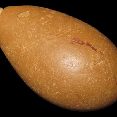 Sale Photo Thumbnail #11: 2 1/4" Grooved Quartz Plummet, Brown Co. Illinois. Motley COA. Well shaped with nice polish and no brainer patina. Great Example!