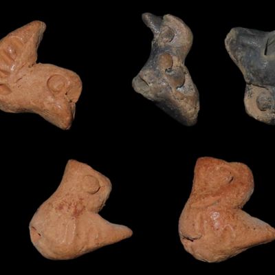 Sale Photo Thumbnail #365: Lot of 5 Bird Effigy Beads / Pendants found in Mexico. Nicely Detailed Birds.