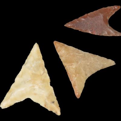 Sale Photo Thumbnail #908: Nice lot of Higher Grade African Neolithic Triangle Arrowheads, Africa. Nice Concave Base Styles, one Deep Concave almost Recurve style.