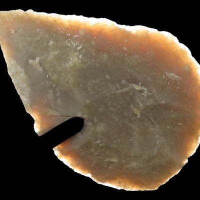 Sale Photo Thumbnail #180: Translucent 2 5/8" Texas Covington Leaf Blade found in Bandera County TX. Nice form and great deposits!