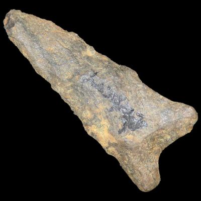 Sale Photo Thumbnail #386: 1 7/8" Late Paleo Dalton found in Erie County Pennsylvania. Indian Arrowhead, Artifact.