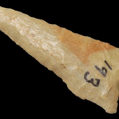 Sale Photo Thumbnail #97: 2 1/4" Crowleys Ridge Dalton found in Northern Arkansas. Ex Joey Ellis Collection.