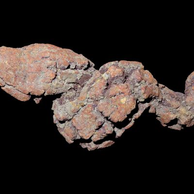 Sale Photo Thumbnail #553: Large Dinosaur Poop Fossil, Coprolite, Appr. 100 Million Years old Fossilized Dino Dung, Great Well Formed Example!