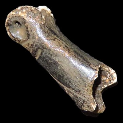 Sale Photo Thumbnail #425: Engraved Pre-Columbian Llama Bone Effigy Pendany, Mexico.