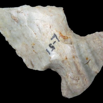 Sale Photo Thumbnail #191: 2 1/8" Indiana Green thebes found in Central Indiana. Great Colorful piece of Attica Chert. Ex Glen Leesman Collection.