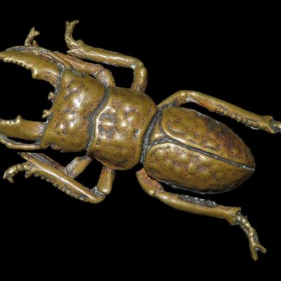 Sale Photo Thumbnail #758: Vintage Solid Brass Emperor Beetle. Highly Detailed example showing precise realistic features both top and bottom.