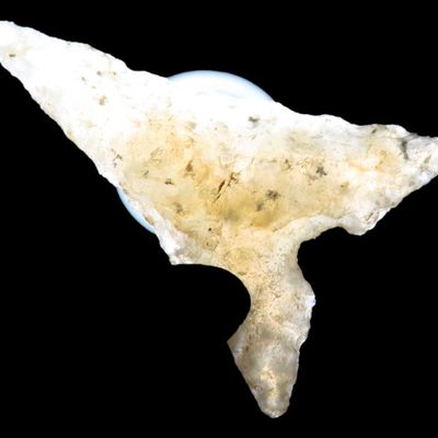 Sale Photo Thumbnail #15: Perfect Translucent Agate Garza Bird Point. Carlos Black COA. Found in N.W. Texas. Ex Jesse Walker & Ex Joey Ellis Collections. Oustanding Example!