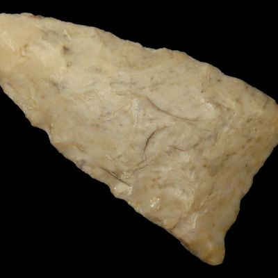 Sale Photo Thumbnail #175: Amazing 2 1/8" Paleo Jeff found in Wayne Co., Tennessee. Nice rare example!