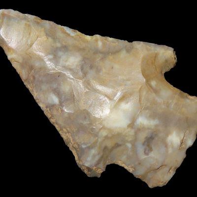 Sale Photo Thumbnail #197: Colorful Florida Hardin found in Madison County, FL. Ex Brian Boles Collection. Deep South Arrowhead.