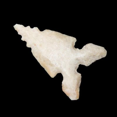 Sale Photo Thumbnail #715: Amazing Texas Bird Point found in Central TX. Thin, well flaked, serrated, and needle tipped!