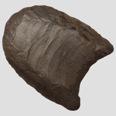 Sale Photo Thumbnail #58: Increidble 1 5/16" Paleo Folsom, found near Memphis, Shelby County Tennessee. Nicely fluted on both sides. Ex Joey Ellis Collection.