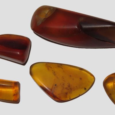Sale Photo Thumbnail #527: Lot of Fossil Amber, some with small bugs or partial bugs that were partially eaten by another insect. 100 Million Years Old, from the Hukawng Valley, Burma-Myanmar. Burnite. Burmese Amber.