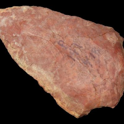 Sale Photo Thumbnail #221: Colorful 2 1/2" Florida Morrow Mountain found in Pasco County, FL. Ex Brian Boles Collection. Deep South Arrowhead.