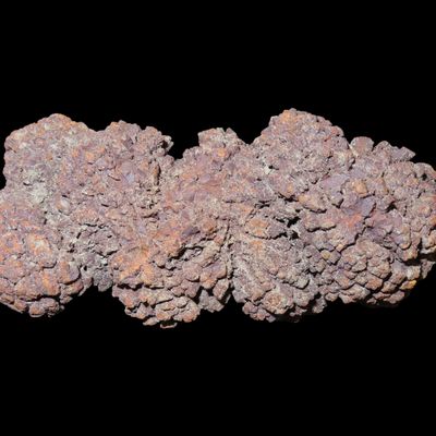 Sale Photo Thumbnail #473: Large Dinosaur Poop Fossil, Coprolite, Appr. 100 Million Years old Fossilized Dino Dung, Great Well Formed Example!