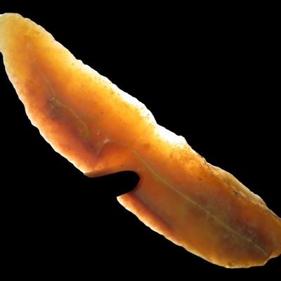 Sale Photo Thumbnail #626: Upper Paleolithic (11k-35k years old) Flint blade from Bergerac Region France, from Cro-Magnon man, 3 3/4" Long.