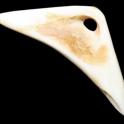 Sale Photo Thumbnail #235: Nice Mimbres / Hohokam Effigy Shell Pendant found in Arizona. Nicely shaped and polished example, drilled for suspension.