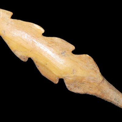 Sale Photo Thumbnail #102: Amazing Alaskan Harpoon with great form and no damage. Found along the Bearing Straight in Alaska.