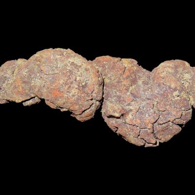 Sale Photo Thumbnail #489: Large Dinosaur Poop Fossil, Coprolite, Appr. 100 Million Years old Fossilized Dino Dung, Great Well Formed Example!