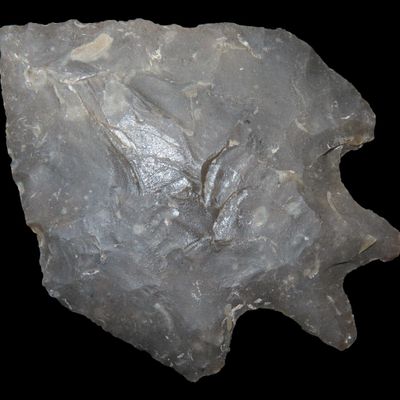 Sale Photo Thumbnail #156: Incredible 2 7/8" Texas Pentagonal Pedernales / Perd found in Kerr County TX. Finely Flaked example with great no brainer patina!