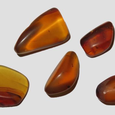 Sale Photo Thumbnail #615: Lot of Fossil Amber, some with small bugs or partial bugs that were partially eaten by another insect. 100 Million Years Old, from the Hukawng Valley, Burma-Myanmar. Burnite. Burmese Amber.
