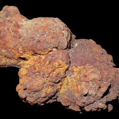 Sale Photo Thumbnail #569: Large Dinosaur Poop Fossil, Coprolite, Appr. 100 Million Years old Fossilized Dino Dung, Great Well Formed Example!