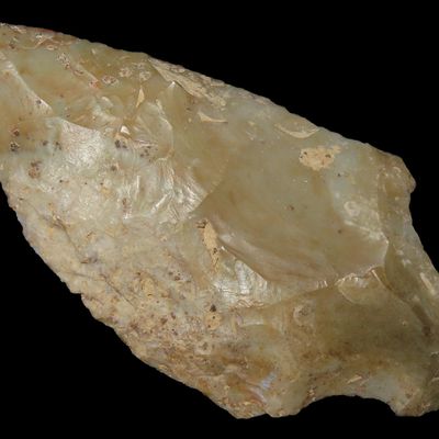 Sale Photo Thumbnail #218: Amazing Clifton Agate Pickwick found in Marshall County Kentucky. Great color & Wonderful Deposits.
