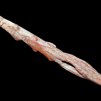 Sale Photo Thumbnail #150: Amazing Alaskan 3-Sided Harpoon with great form and no damage. Interesting form, it is triangular in cross section creating 3 barbed edges instead of just 2. Found along the Bearing Straight in Alaska.