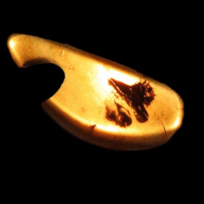 Sale Photo Thumbnail #535: Fossil Amber with Encased Insect, Great Specimen with Easily Visible Bug. 100 Million Years Old, from the Hukawng Valley, Burma-Myanmar. Burnite. Burmese Amber.