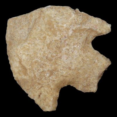 Sale Photo Thumbnail #819: Nice Wade found in Northern Florida. Indian Arrowhead, Artifact.