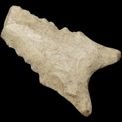Sale Photo Thumbnail #199: Nice 1 7/8" Heartbreaker Serrated Dalton found in Northern Arkansas. Ex Joey Ellis Collection.